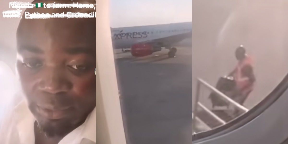 After 15 years abroad, Man returns to Nigeria, becomes a farmer