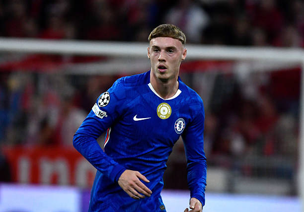 Cole-Palmer-Biography