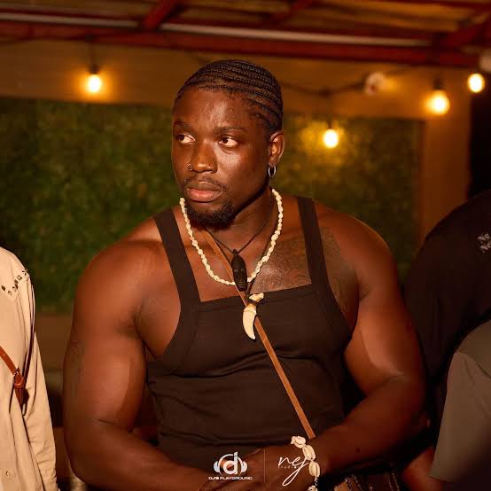 Verydarkman and Mr Jollof spotted brawling on plane