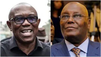 Atiku–Obi’s challenge: How we will choose 2027 presidential candidate - ADC reveals