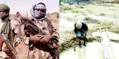 Gunmen kill 12 at Plateau mining site