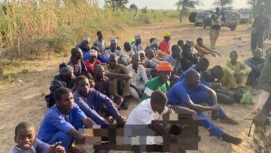 Terrorists abduct vice chairman, 2 councillors, several passengers in Borno