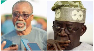 "Tinubu will lose in 2027, He never won 2023 presidential election" - Senator Abaribe