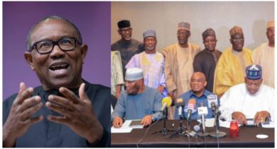"I'm not joining ADC..., no one is stepping down for me" - Peter Obi