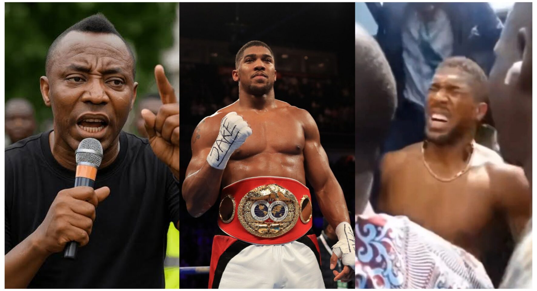 I warned Anthony Joshua about the danger of aligning with Nigeria’s leadership - Sowore