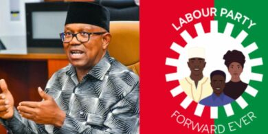 2027: Labour Party rules out automatic ticket for Peter Obi, stresses internal democracy