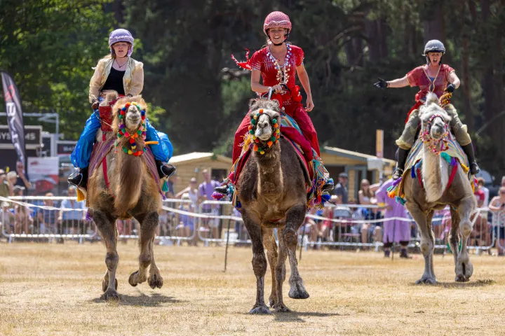Paul Pogba invests in World’s first professional Camel Racing team in Saudi Arabia