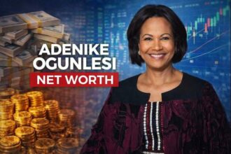 Adenike-Ogunlesi-net-worth