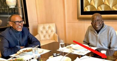 Tinubu shares AI-generated image of lunch with Rwandan President, Nigerians react