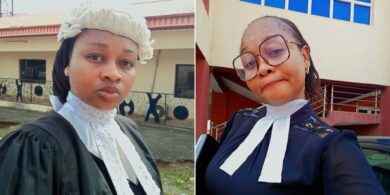 Lawyer advises wives on what to do after husbands conduct DNA test on their children