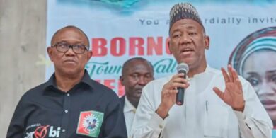 "If Peter Obi doesn't get ADC ticket, he should come back to Labour; I'll support him" – Datti