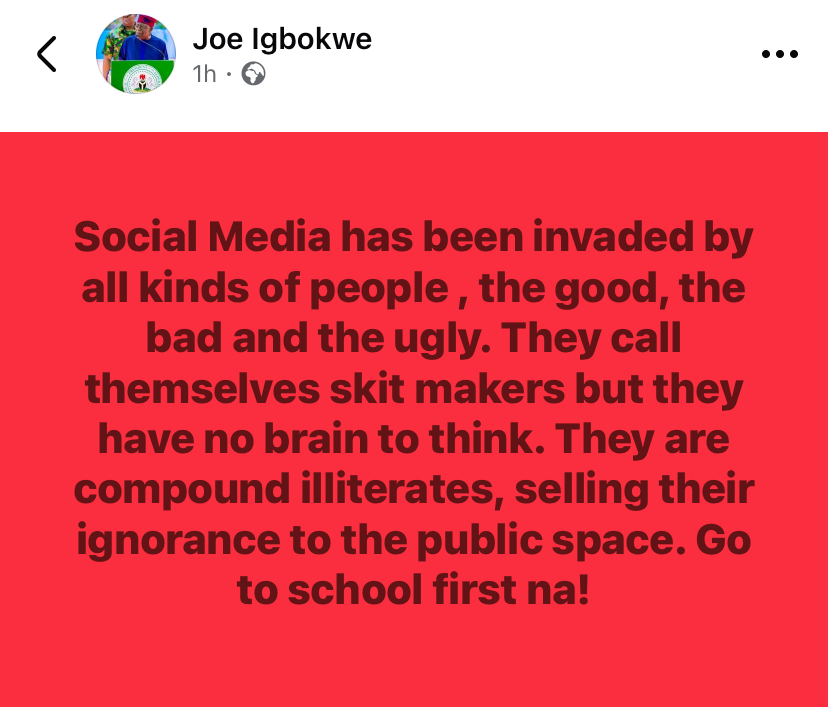 "They have no brain to think, just selling their ignorance to the public” - APC Chieftain Joe blasts skit makers