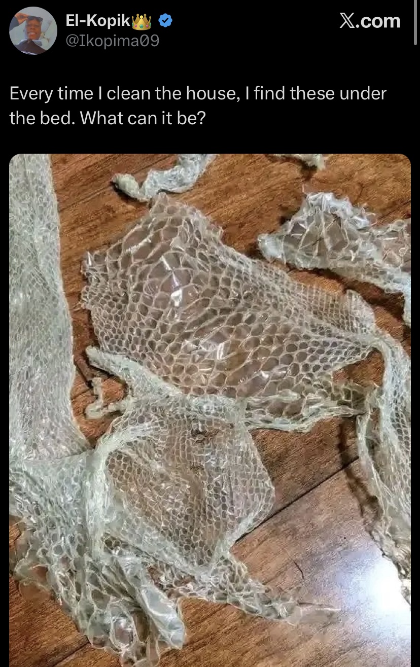 "Everytime I clean the house, I find these under my bed" - Man cries out