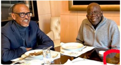 "The picture is real" - Presidency clarifies alleged Tinubu, Kagame's AI-generated Photo