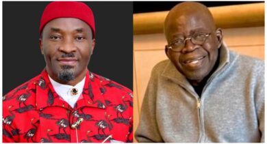 Vote for Tinubu in 2027, don't waste your votes - Deputy Speaker tells Igbos