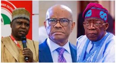 You have no right to complain about Wike’s action, manage the problem you created — PDP blasts APC