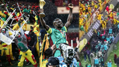 Senegal fans fight stewards with chairs during AFCON 2025 final [watch]