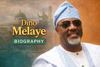 dino-melaye-biography