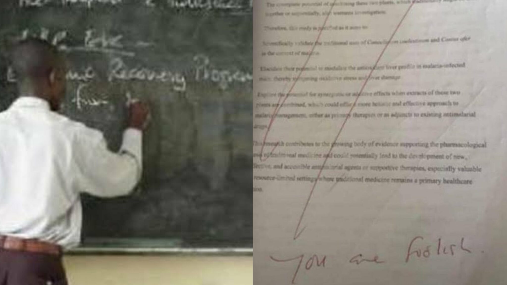 “You are foolish” — Lecturer cancels finalyear student’s project
