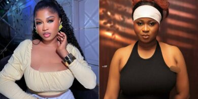 "I named my three dogs after BBNaija housemates" – Imisi