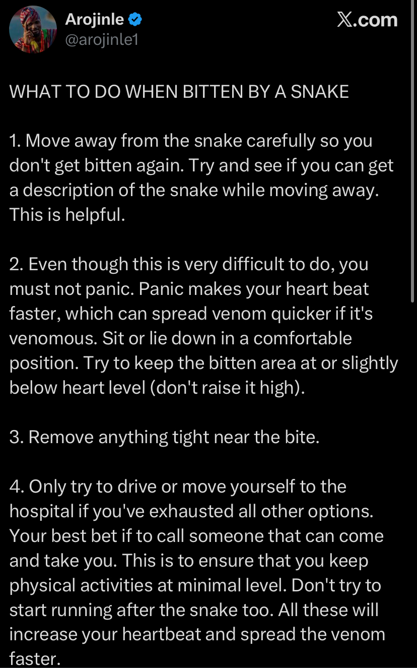 “What to do if a snake bites you" - Expert advice