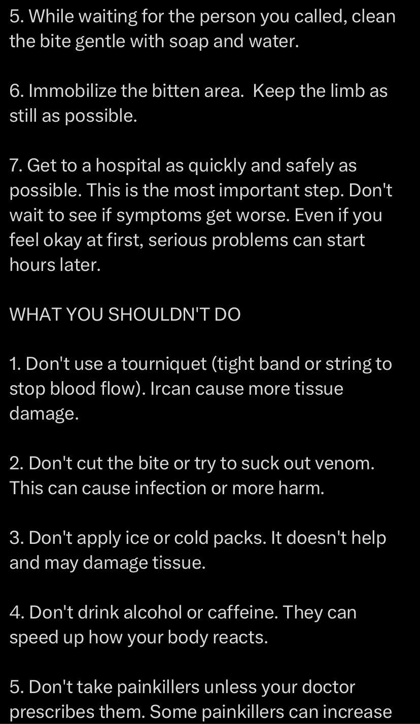 “What to do if a snake bites you" - Expert advice
