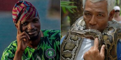 “What to do if a snake bites you" - Expert advice