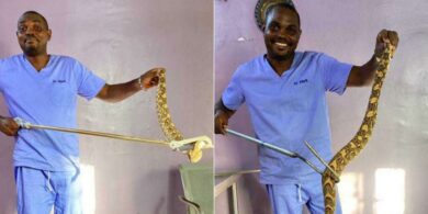 "What attracts snakes to your house" - Snake expert Dr Mark Ofua