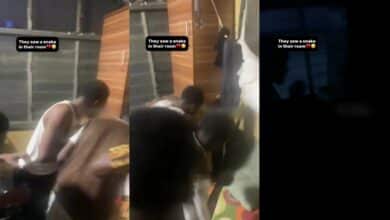 Drama as NEPA take light as residents in a hostel are trying to kill snake