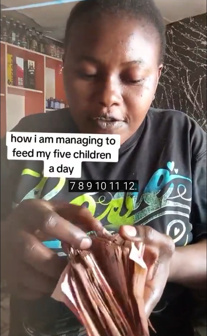 Woman earns ₦12,000 daily from phone charging, praises solar business