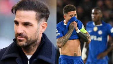 Fabregas tipped for Chelsea job