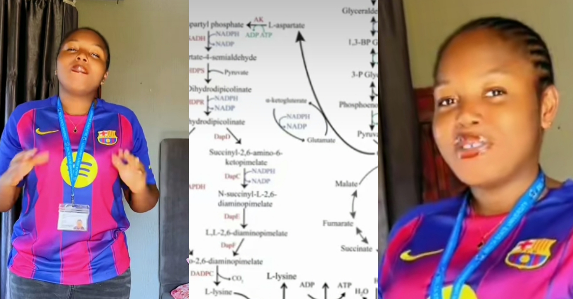 “We no be mate”- Female student cries out, displays complex diagram to learn before exam