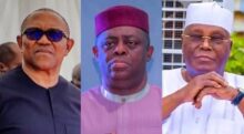 "There's no opposition in Nigeria" — Fani-Kayode blasts ADC, Peter Obi, Atiku
