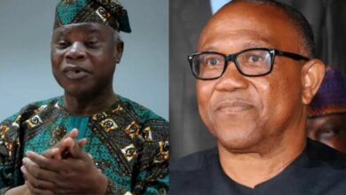 Edo attack: “If Peter Obi was shot, nothing would happen” – Afenifere chieftain warns