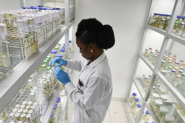 top-20-best-science-courses-in-nigeria