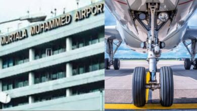 14-year-old boy arrested at airport after attempting to sneak beneath an aircraft to travel out of the country