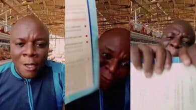 “Tear your certificate and start business” – Man advice Nigerians