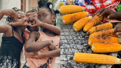 “Sometimes I wonder how people without female children cope” — Lady laughs over brother’s grocery mistake
