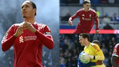 EPL: Van Dijk seals dramatic derby win for Liverpool against Everton