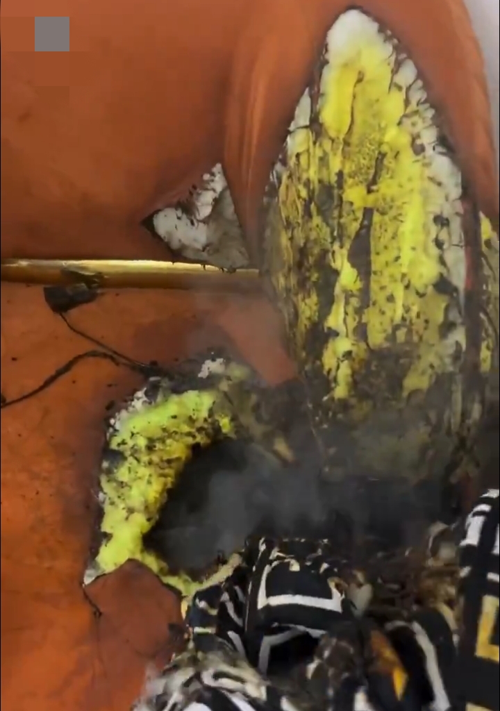 The Art of Baking: From Classic Bread to Artisan Pastries