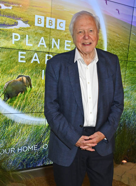 david-attenborough-biography