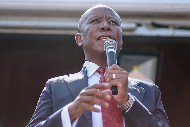 Julius Malema Biography: Early Life, Career, Controversy, Family & Worth