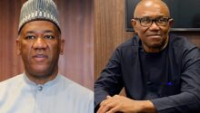 NDC: "North will not support Peter Obi"— Datti Baba-Ahmed