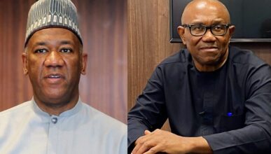 NDC: "North will not support Peter Obi"— Datti Baba-Ahmed