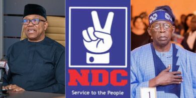 Don’t come here, allow us build NDC in peace – Peter Obi tells Tinubu govt