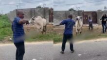 “The wife wey I marry never buy cow before for me but she buy am for pastor” — Man laments