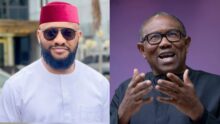 "Peter Obi is not a true Igbo man" — Yul Edochie