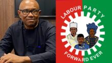 "We lost a colossus" — LP admits Peter Obi’s departure created a vacuum
