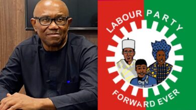 "We lost a colossus" — LP admits Peter Obi’s departure created a vacuum
