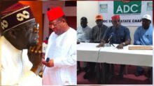 "South-East won't vote for Tinubu" — ADC fires back at Umahi